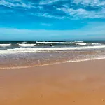 Palm * Biscarrosse-Plage