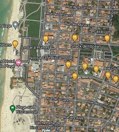 Palm *