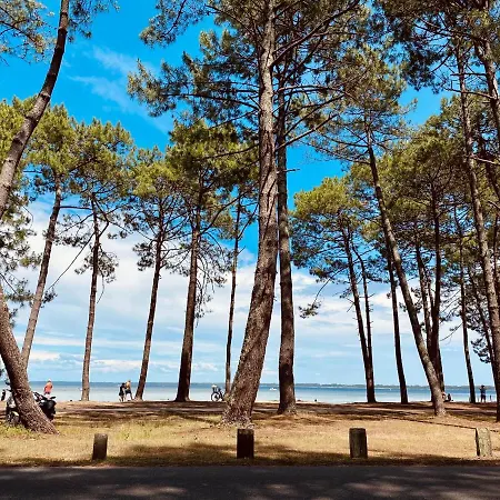 Palm Biscarrosse-Plage