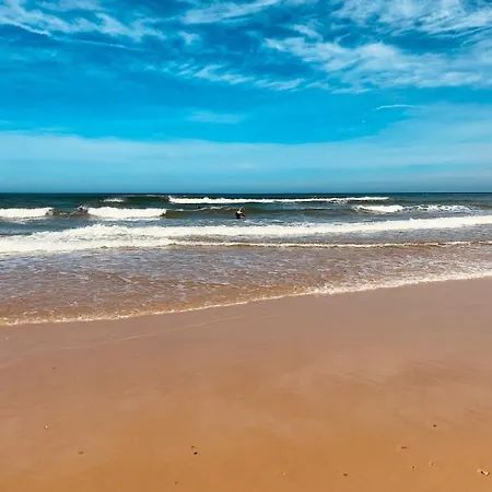 Palm * 比斯卡罗斯海滩