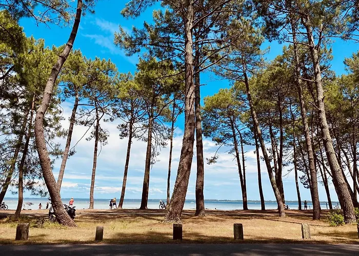 Palm Biscarrosse-Plage