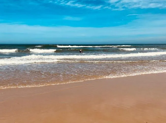 Palm * Biscarrosse-Plage